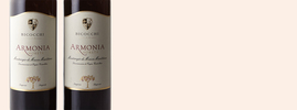 2011 Armonia, Bicocchi, Monteregio di Massa Marittima DOC, Tuscany, Italy