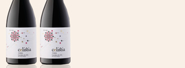 2016 Celistia Tiera Tinto, Costers del Sió, Costers del Segre DO, Catalogne, Espagne