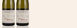 2017 Chablis, Domaine de Malandes, Chablis AOC, Bourgogne, France