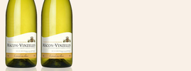 2018 Mâcon-Vinzelles, Les Grands Crus Blancs, Mâcon-Vinzelles AOC, Burgundy, France
