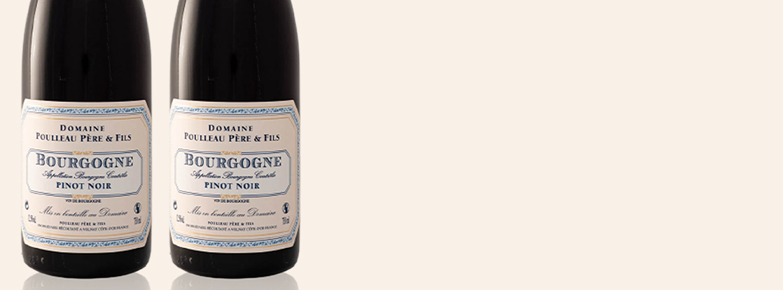 2022 Pinot Noir, Domaine Poulleau & Fils, Bourgogne AOC, Bourgogne, France
