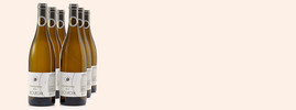 2013 Collines du Bourdic-Chardonnay, Pays D