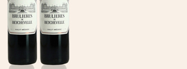 2019 Les Brulières de Beychevelle, Haut-Médoc AOC, Bordeaux, France