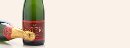 Collet Grand Art Brut, Champagne AOC, Champagne, France