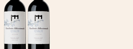 2016 Vendimia Seleccionada, Resalte de Peñafiel, Ribera del Duero DO, Castilla y Leon, Spanje
