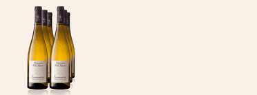 2020 Clos de la Marche, Domaine du Petit Métris, Savennières AOC, Loire Valley, France