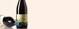 2007 La Chapelle Saint-Benoît, Domaine Grandes Serres, Lirac AOC, Rhône Valley, France