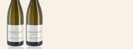 2019 Les Raidillons, Sébastien Giroux, Pouilly-Fuissé AOC, Bourgogne, France