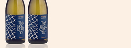 2017 Trabocchetto, Talamonti, Pecorino Colline Pescarise IGP, Abruzzo, Italy