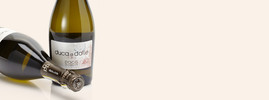 Duca di Dolle Prosecco Superiore, Valdobbiadene DOCG, Vénétie, Italie