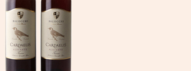 2014 Cardaelis, Bicocchi, Toscana IGT, Toscane, Italie
