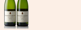 2014 Lirac Blanc Roc-Epine, Domaine Lafond, Lirac AOC, Vallée du Rhône, France