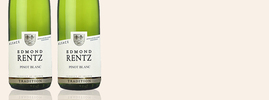 2019 Pinot Blanc, Edmond Rentz, Alsace AOC, Alsace, France