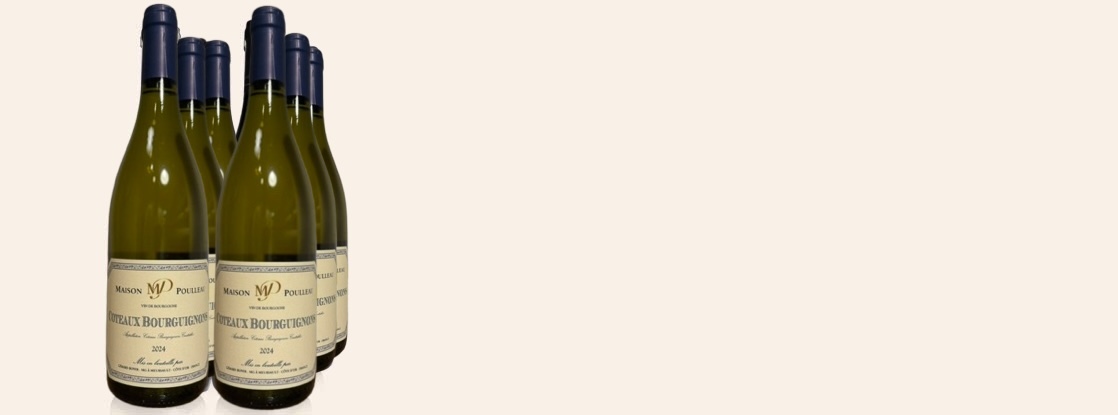 2024 Coteaux Bourguignons, Maison Poulleau, Coteaux Bourguignons AOC, Burgundy, France