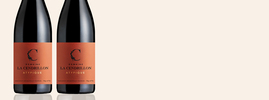 2018 Atypique, Domaine de la Cendrillon, Pays d