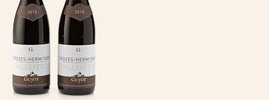 2010 Le Millepertuis, Domaine Guyot, Crozes-Hermitage AOC, Vallée du Rhône, France