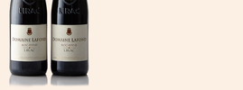 2014 Lirac Rouge Roc-Epine, Domaine Lafond, Lirac AOC, Vallée du Rhône, France