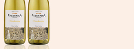 2013 Chardonnay, Falernia, Elqui Valley, Coquimbo, Chili