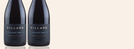 2020 Grand Vin Le Pinot Noir, Villard, , Casablanca Valley, Chili