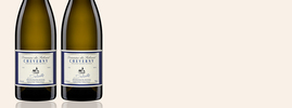 2021 Cheverny Blanc, Domaine du Salvard, Cheverny AOC, Vallée de la Loire, France
