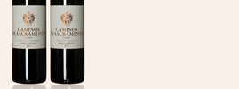 2020 Caminos de Sacramento, Viñas Leizaola, Rioja DOC, Rioja, Espagne