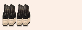 2012 Châteauneuf-du-Pape, Olivier & Lafont, Châteuneuf-du-Pape AOC, Vallée du Rhône, France