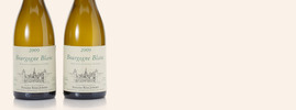 2009 Bourgogne Blanc, Domaine Rémi Jobard, Bourgogne AOC, Bourgogne, France