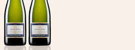 2014 Cava Brut Selección Especial, Marquès De La Concordia, Cava, Penedès, Spanje