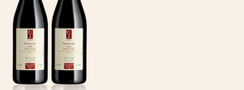 2016 Amarone della Valpolicella, Viviani, Valpolicella Ripasso DOC, Vénétie, Italie
