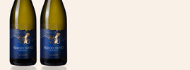 2019 Trabocchetto, Talamonti, Pecorino Colline Pescarise IGP, Abruzzes, Italie