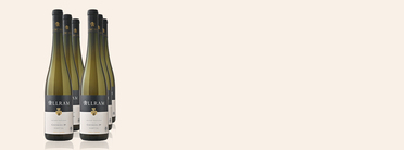 2022 Grüner Veltliner Gaisberg 1ste Lage, Allram, , , Autriche