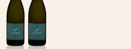 2021 Sauvignon Blanc, Fournier Père & Fils, Vin de France, Vallée de la Loire, France