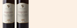 2013 Armonia, Bicocchi, Monteregio di Massa Marittima DOC, Toscane, Italie