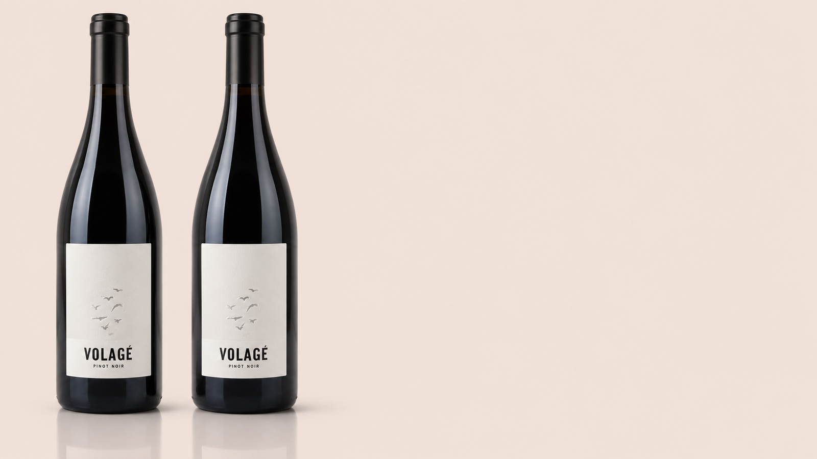 2023 Volage, Les Clos Maurice, Saumur-Champigny AOC, Vallée de la Loire, France
