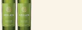 2022 Amalaya Blanco, , Calchaquí vallei, Argentinië