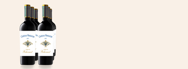 2019 Grand vin, Château Mondazur, Pécharmant AOC, South-West France, France