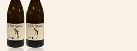 2022 Effrontée blanc, Domaine de la Belle, Vin de France, South-West France, France