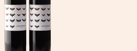 2012 Novembre, Bodega La Vida Al Camp, Penedès DO, Catalogne, Espagne