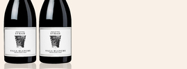 2017 Villa Blanche Syrah, Calmel & Joseph, Pays d