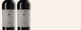2021 Carmenère Reserva, In Situ, , Aconcagua Valley, Chile