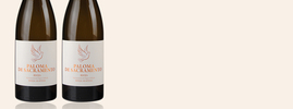 2020 Paloma de Sacramento, Viñas Leizaola, Rioja DOC, Rioja, Espagne