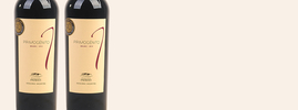 2014 Primogénito Malbec, Bodega Patritti, , Patagonie, Argentine