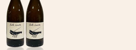 2022 Belle Lurette, Domaine de la Belle, Vin de France, Sud-Ouest France, France