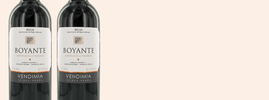 2015 Boyante, Bodega Ontañon, Rioja DOC, Rioja, Espagne