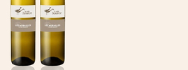 2020 Les Murailles Blanc, La Petite Source, Vin de France, Languedoc-Roussillon, Frankrijk