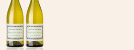 2023 Aligoté, Domaine Clotilde Davenne, Bourgogne Aligoté AOC, Bourgogne, France