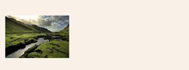 Whisky tasting: Arran, Whisky, ,