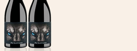2015 Black Wolf, Pic Saint-Loup AOC, Languedoc-Roussillon, France