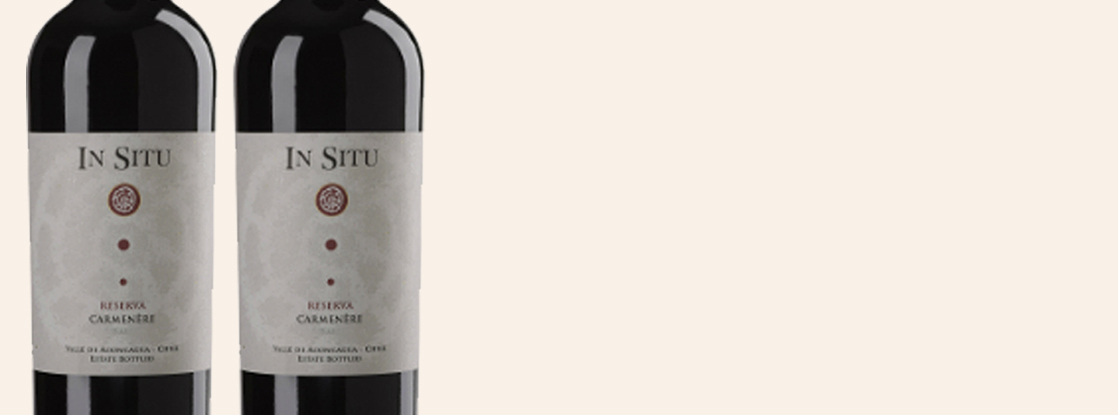 2022 Carmenère Reserva, In Situ, , Aconcagua Valley, Chili