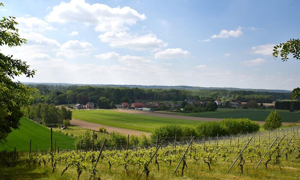 Uitzicht over de groene vallei van de Molenbeek